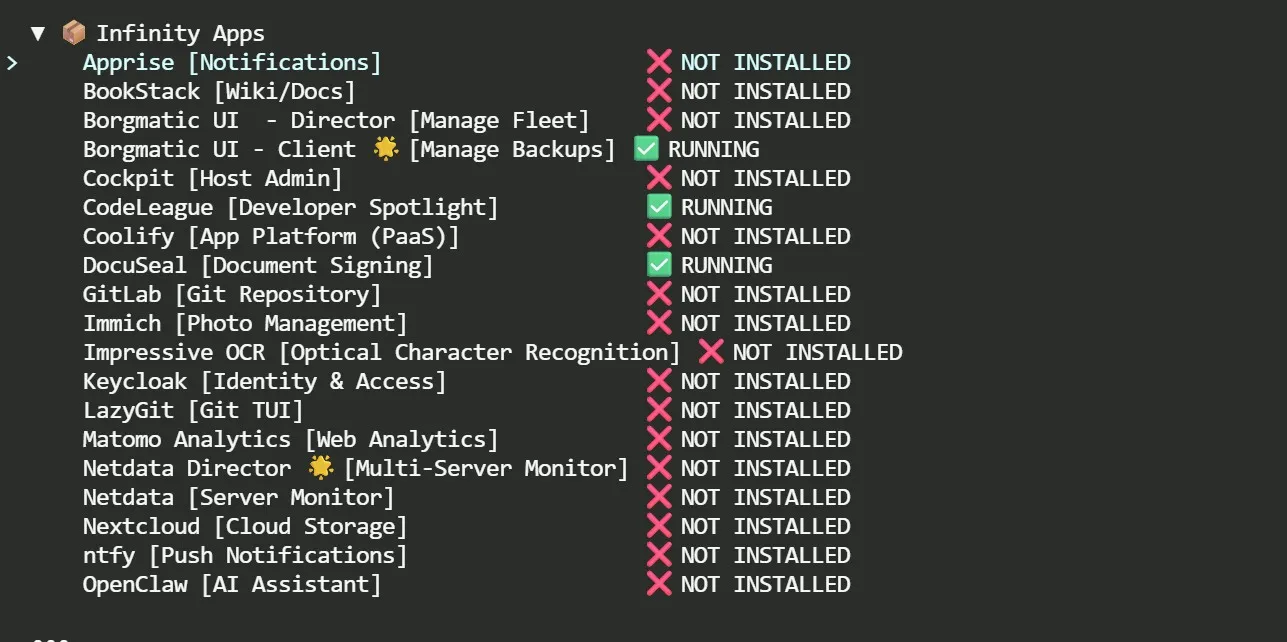 The Infinity Apps catalogue showing which applications are installed and running