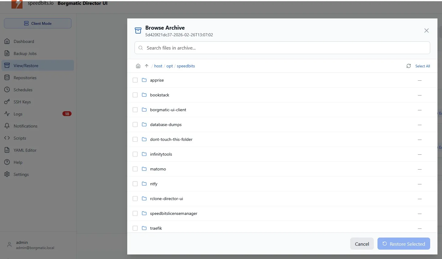 Browsing the files inside a Borg backup archive